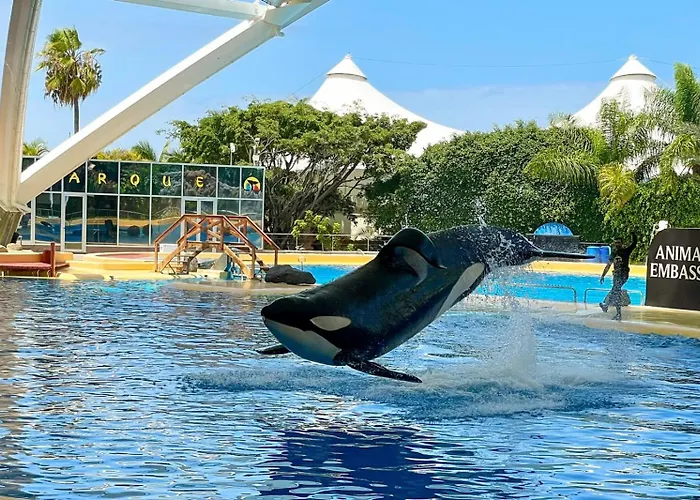 Lejlighed Amarilla Golf