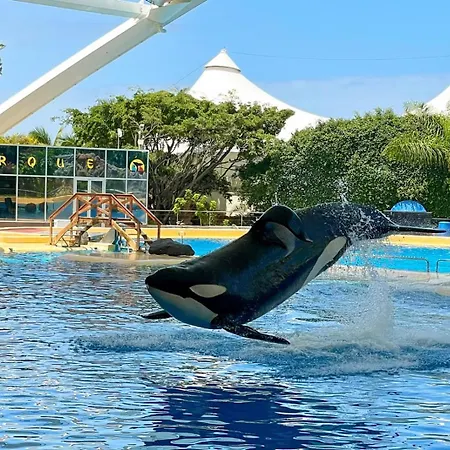 דירה Amarilla Golf